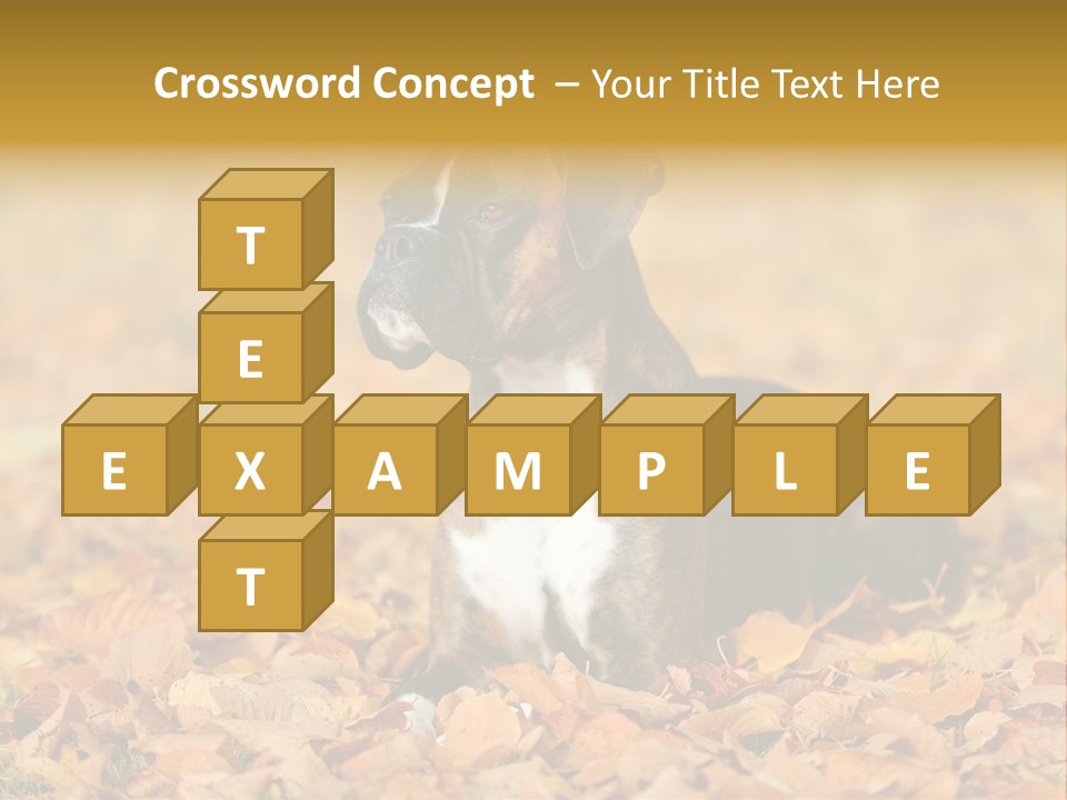 A Brown And White Dog Laying On Top Of A Pile Of Leaves PowerPoint Template