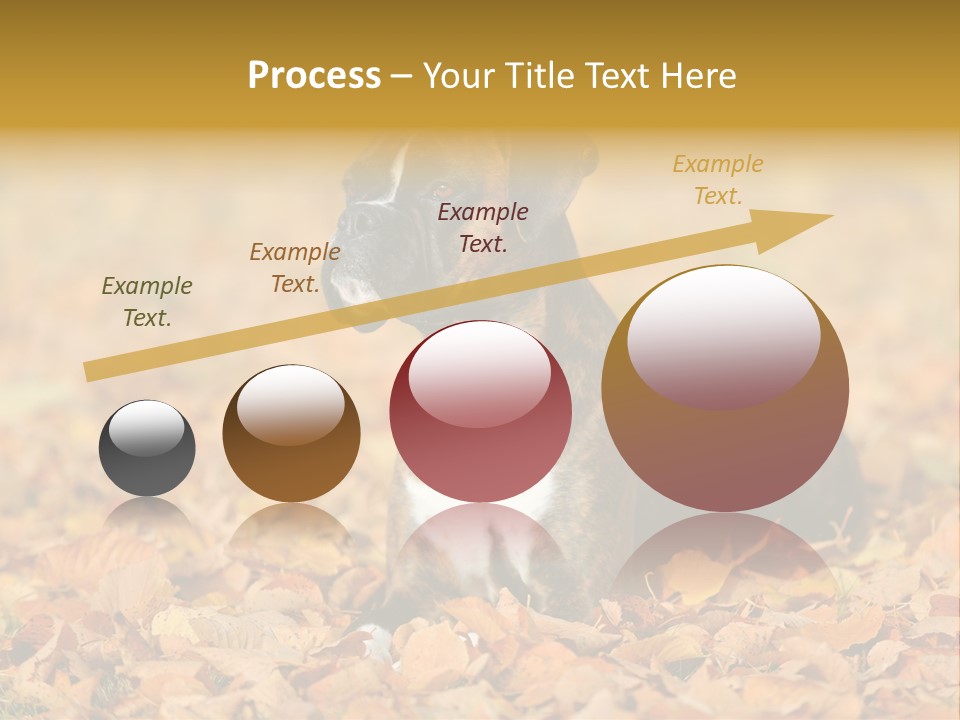 A Brown And White Dog Laying On Top Of A Pile Of Leaves PowerPoint Template