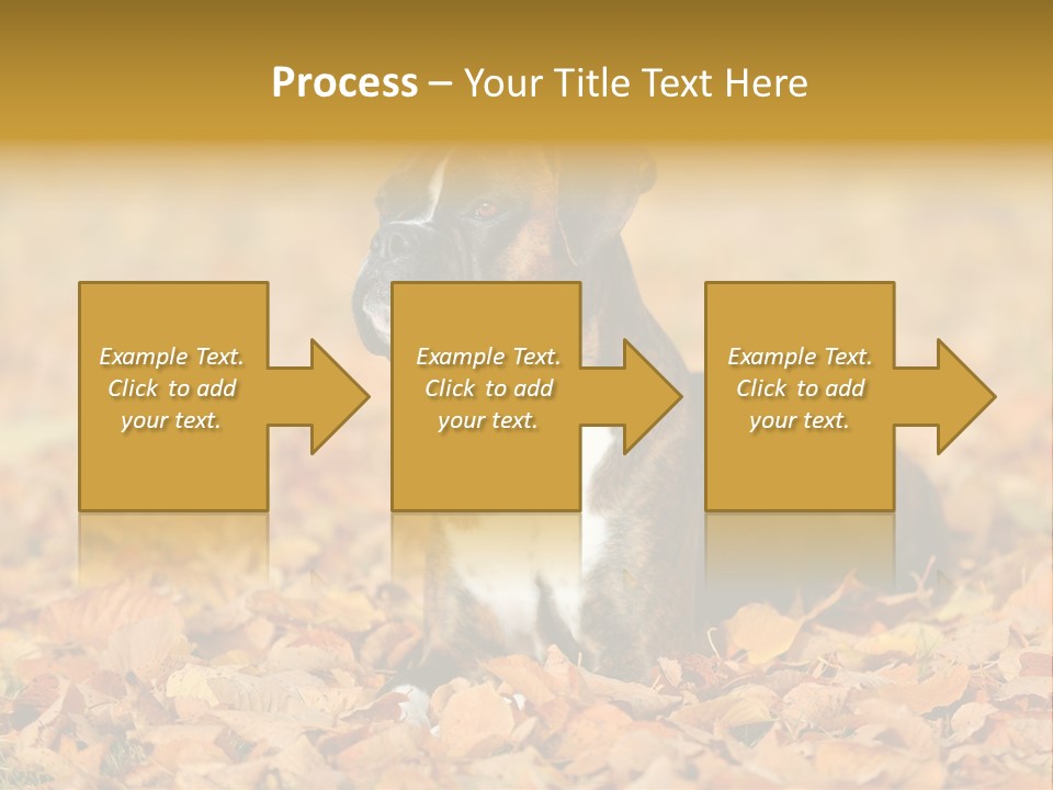 A Brown And White Dog Laying On Top Of A Pile Of Leaves PowerPoint Template