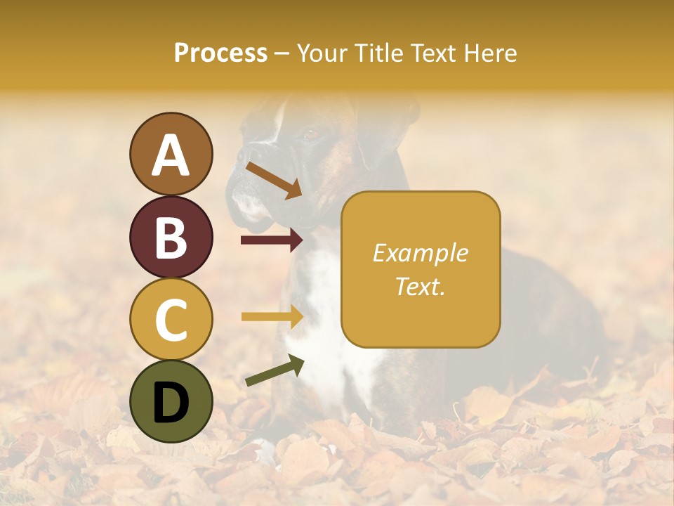 A Brown And White Dog Laying On Top Of A Pile Of Leaves PowerPoint Template