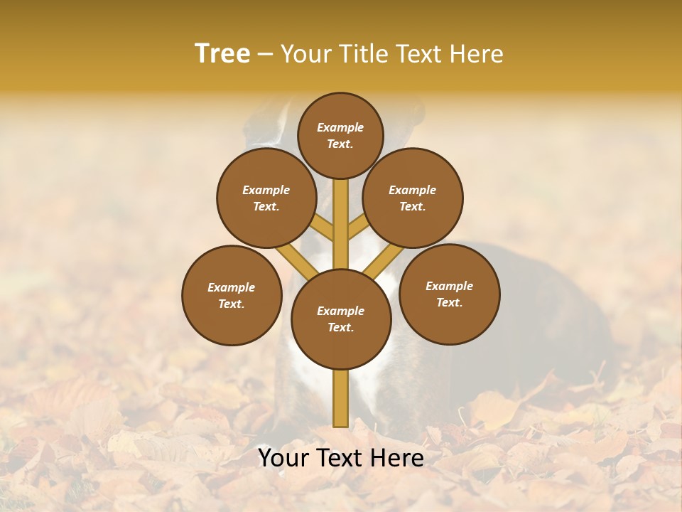 A Brown And White Dog Laying On Top Of A Pile Of Leaves PowerPoint Template