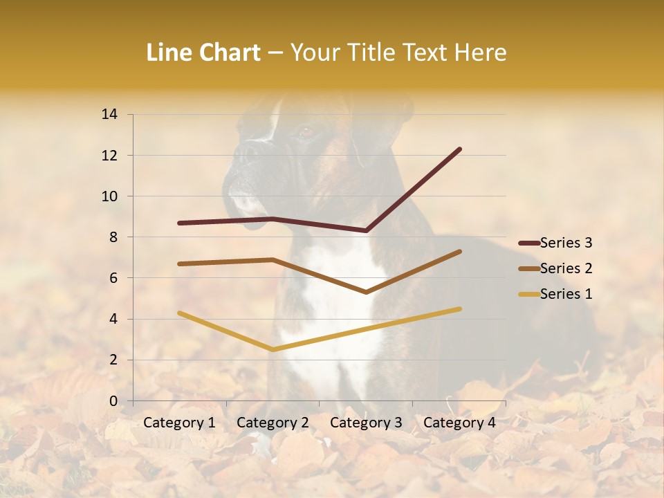 A Brown And White Dog Laying On Top Of A Pile Of Leaves PowerPoint Template