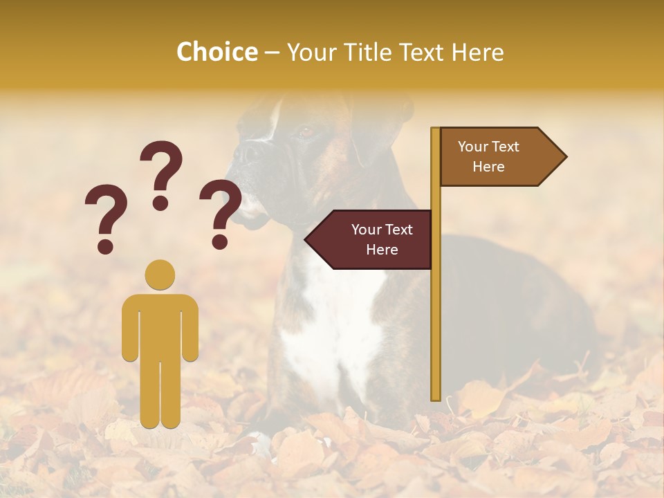 A Brown And White Dog Laying On Top Of A Pile Of Leaves PowerPoint Template