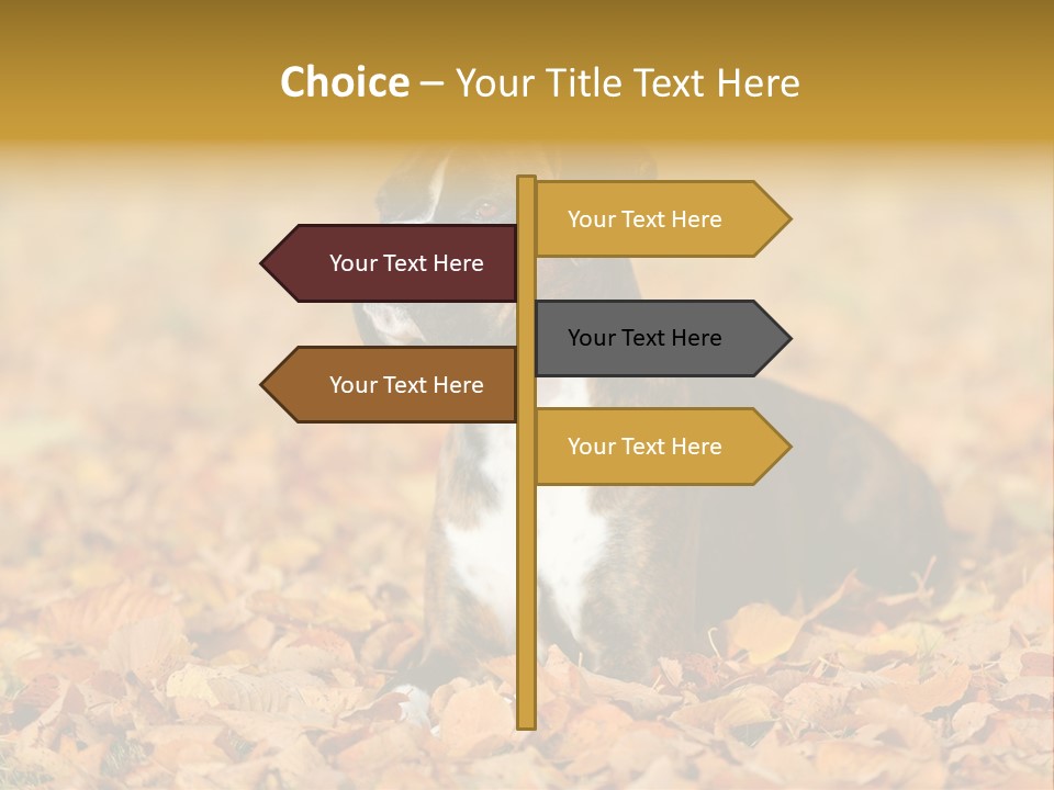 A Brown And White Dog Laying On Top Of A Pile Of Leaves PowerPoint Template