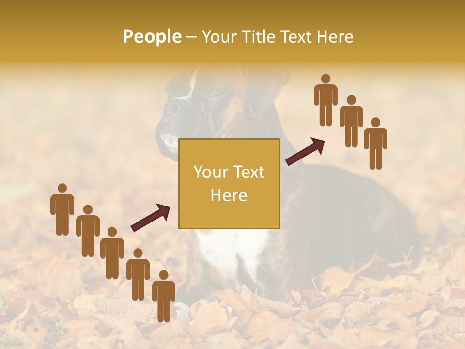 A Brown And White Dog Laying On Top Of A Pile Of Leaves PowerPoint Template