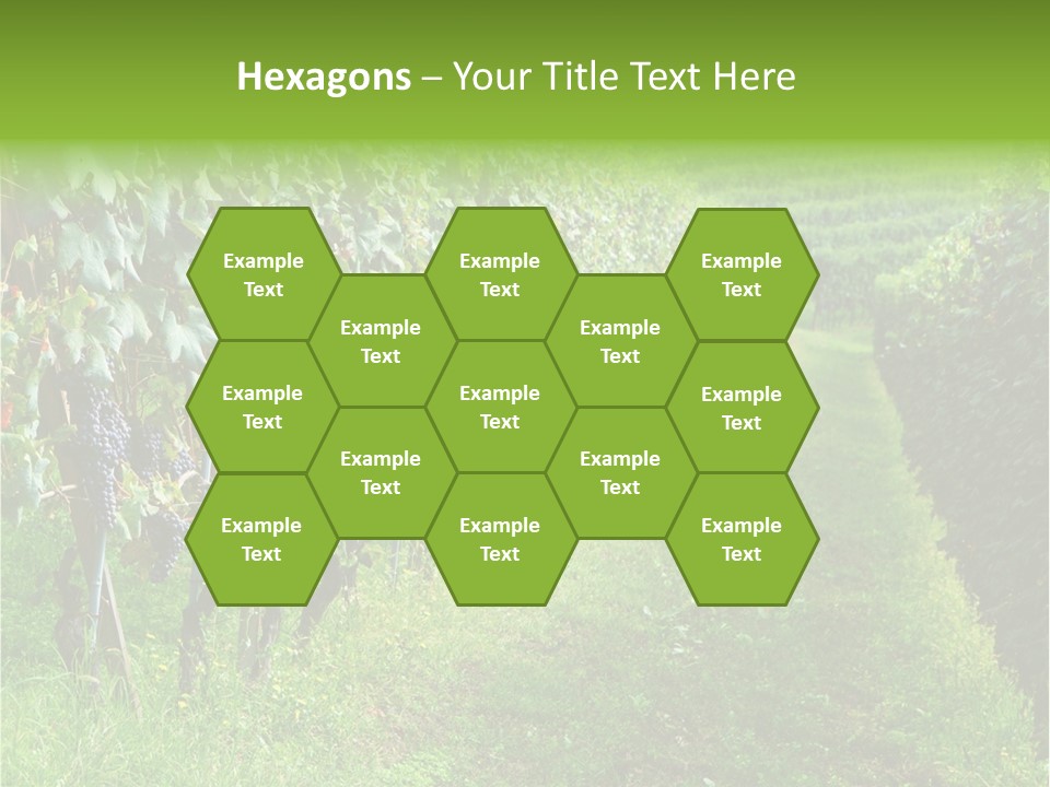 Fog Landscape Piemonte PowerPoint Template