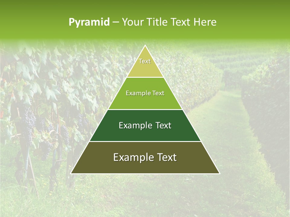 Fog Landscape Piemonte PowerPoint Template