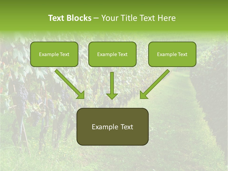 Fog Landscape Piemonte PowerPoint Template