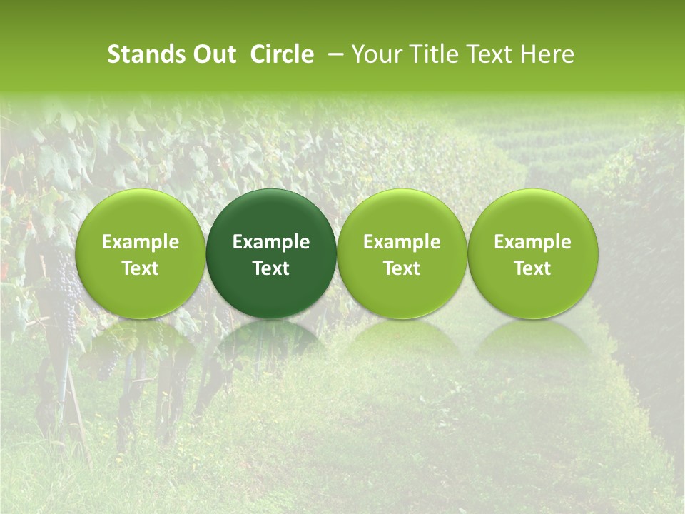 Fog Landscape Piemonte PowerPoint Template