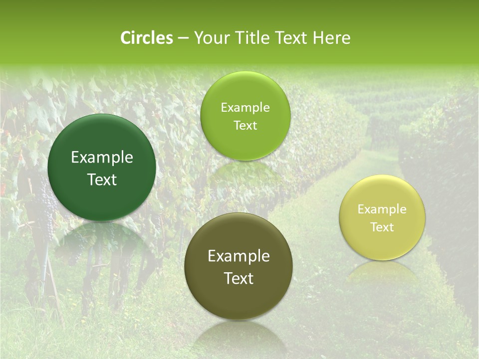 Fog Landscape Piemonte PowerPoint Template