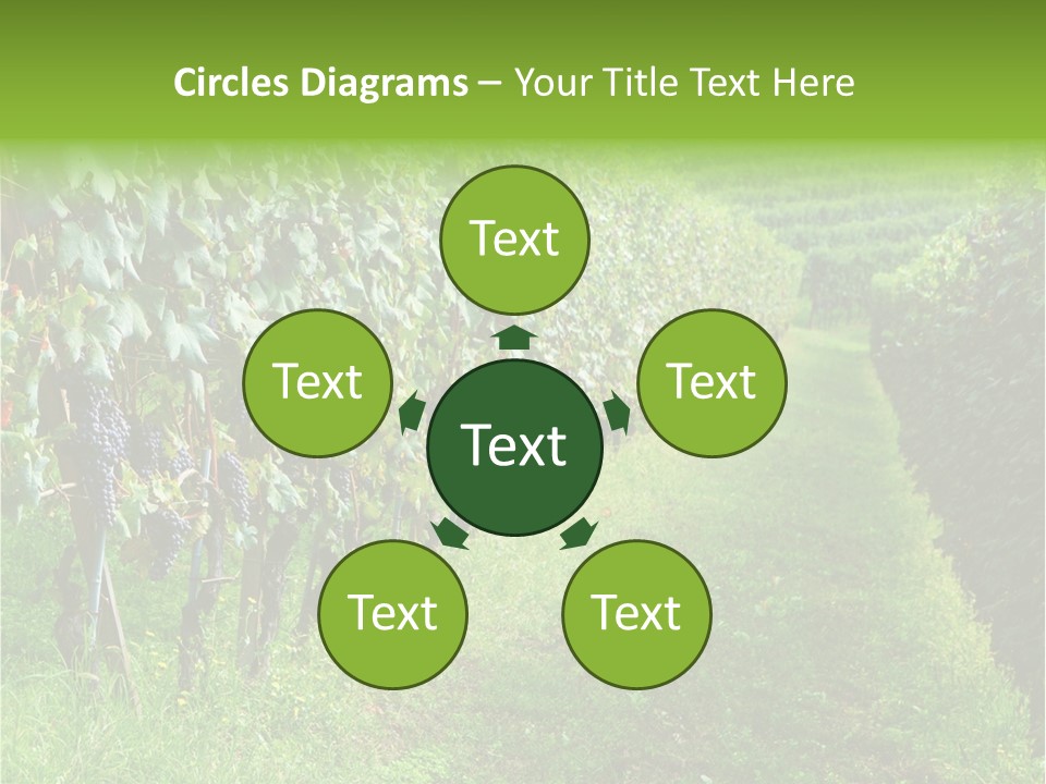 Fog Landscape Piemonte PowerPoint Template