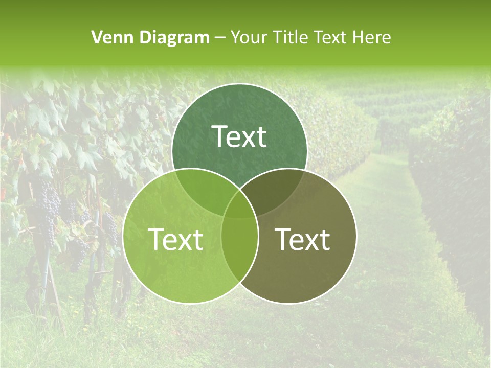 Fog Landscape Piemonte PowerPoint Template