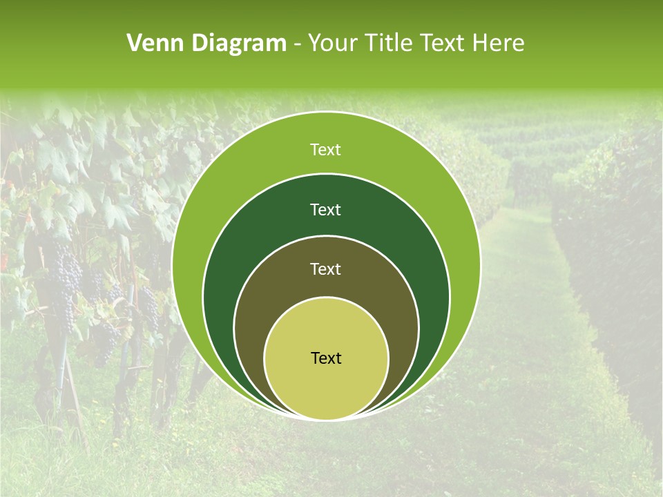 Fog Landscape Piemonte PowerPoint Template