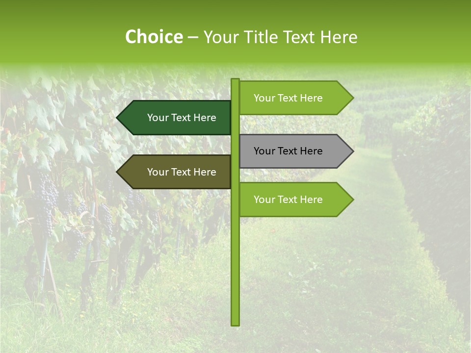 Fog Landscape Piemonte PowerPoint Template