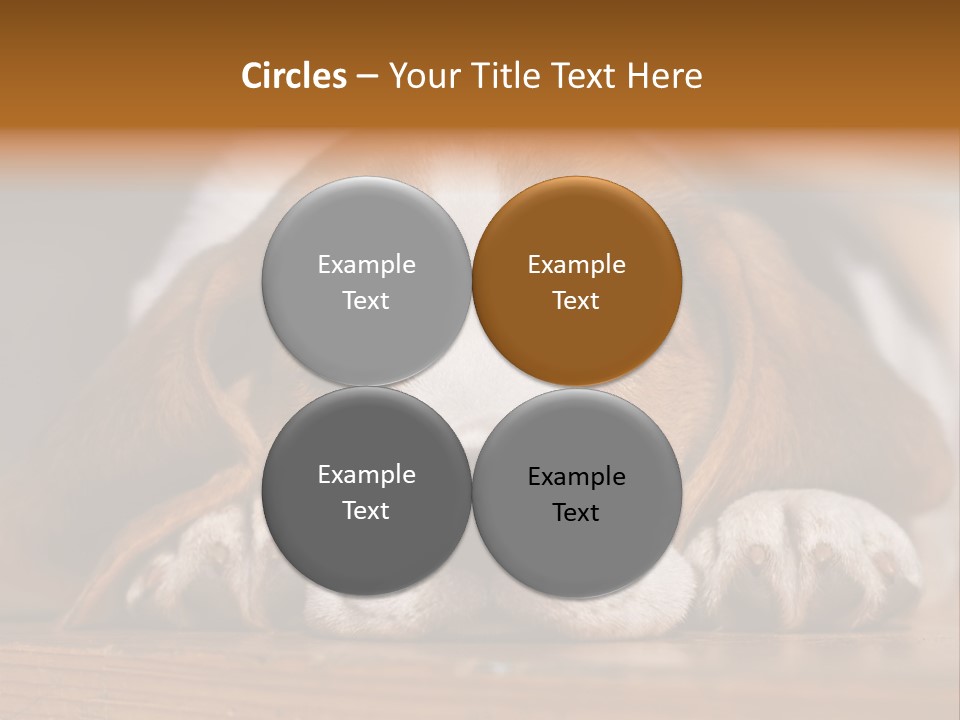 Puppy View Small PowerPoint Template