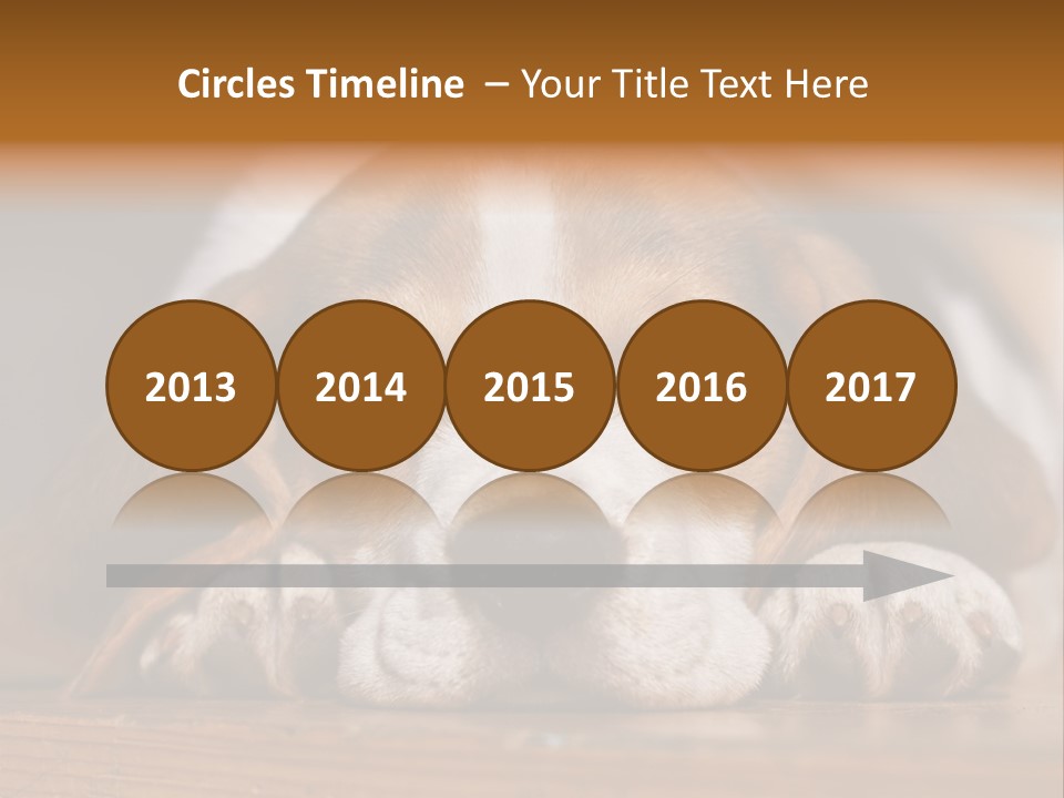 Puppy View Small PowerPoint Template