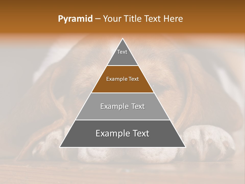 Puppy View Small PowerPoint Template