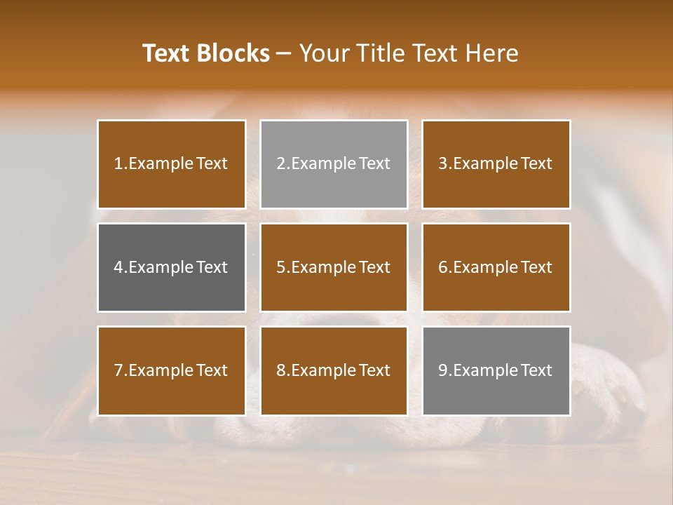 Puppy View Small PowerPoint Template