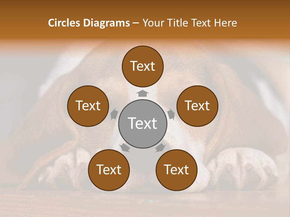 Puppy View Small PowerPoint Template