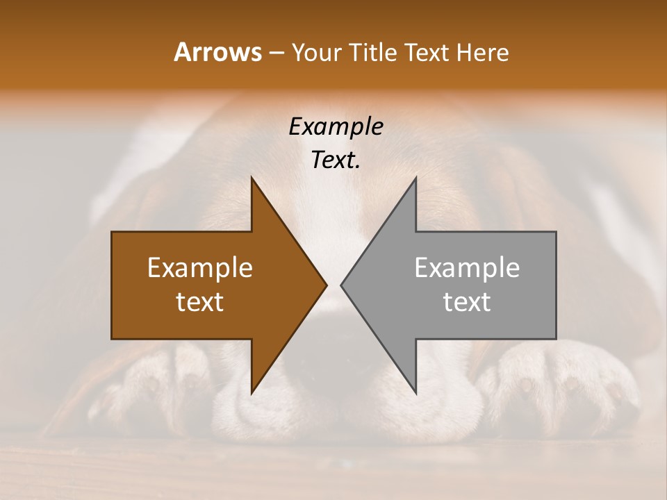 Puppy View Small PowerPoint Template