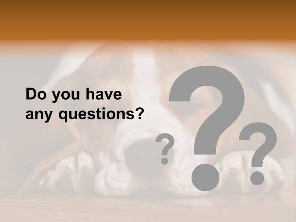 Puppy View Small PowerPoint Template