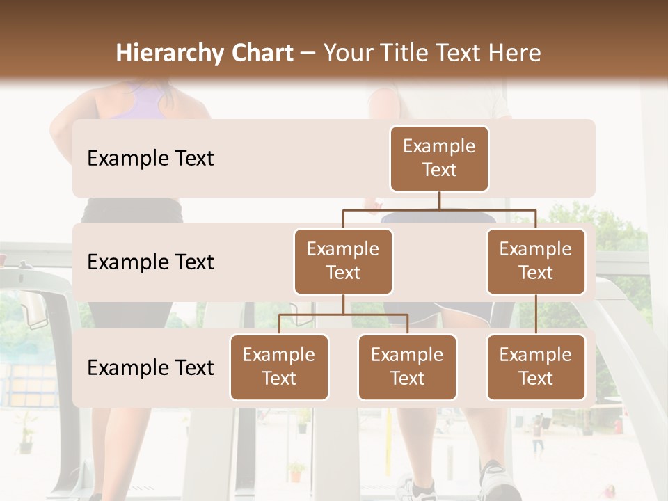 Endurance Shape Group PowerPoint Template