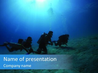 Blue Scuba Shallow Diving PowerPoint Template