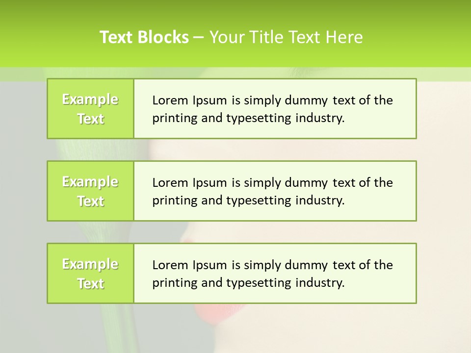 Skincare Beauty Viewfinderchallenge PowerPoint Template