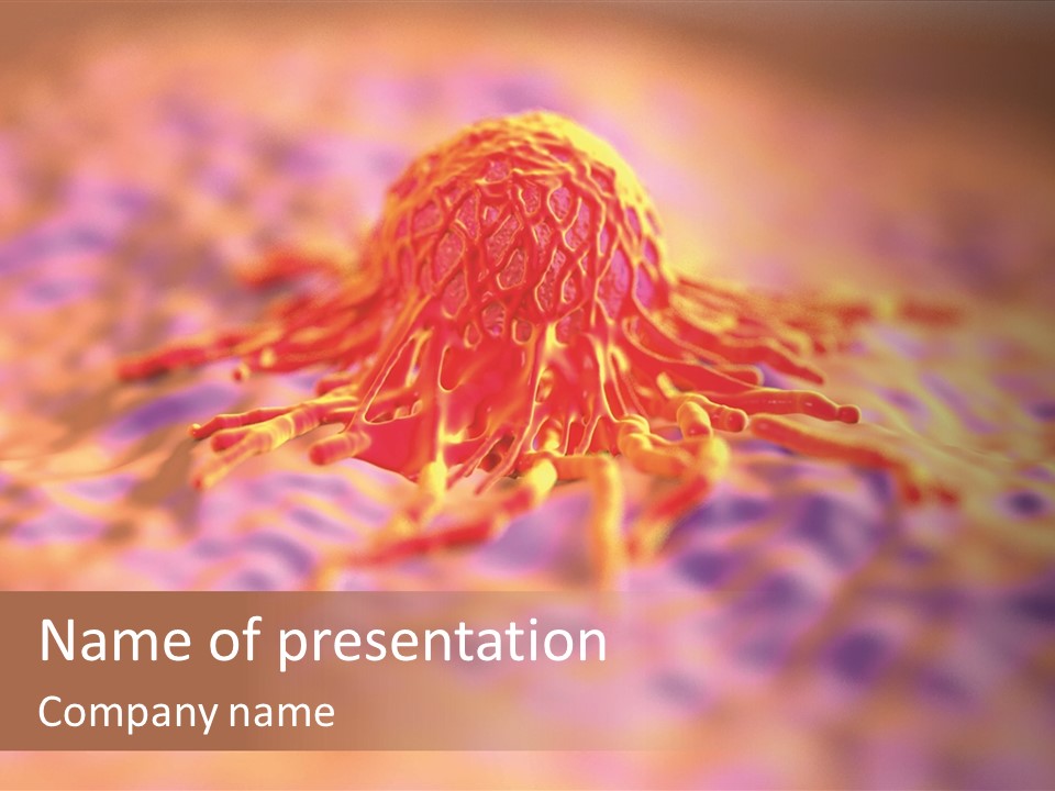 Colon Anatomical Gynaecological PowerPoint Template