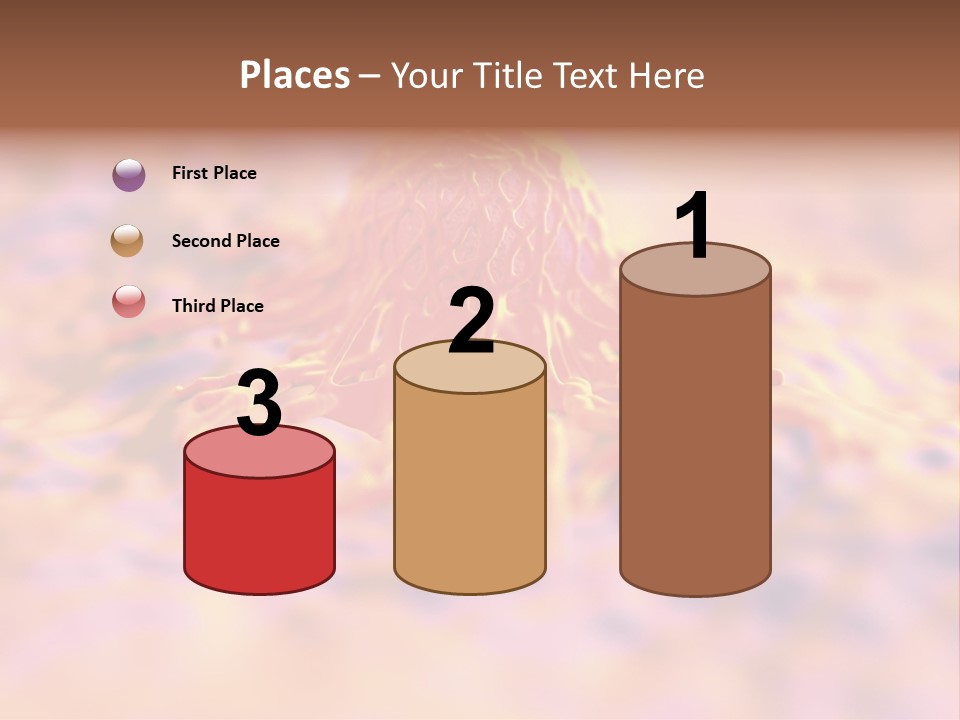 Colon Anatomical Gynaecological PowerPoint Template