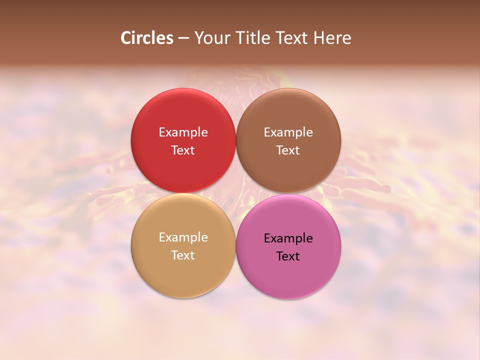 Colon Anatomical Gynaecological PowerPoint Template