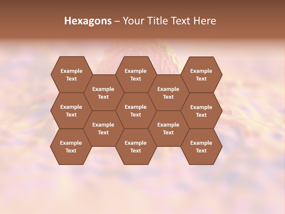 Colon Anatomical Gynaecological PowerPoint Template