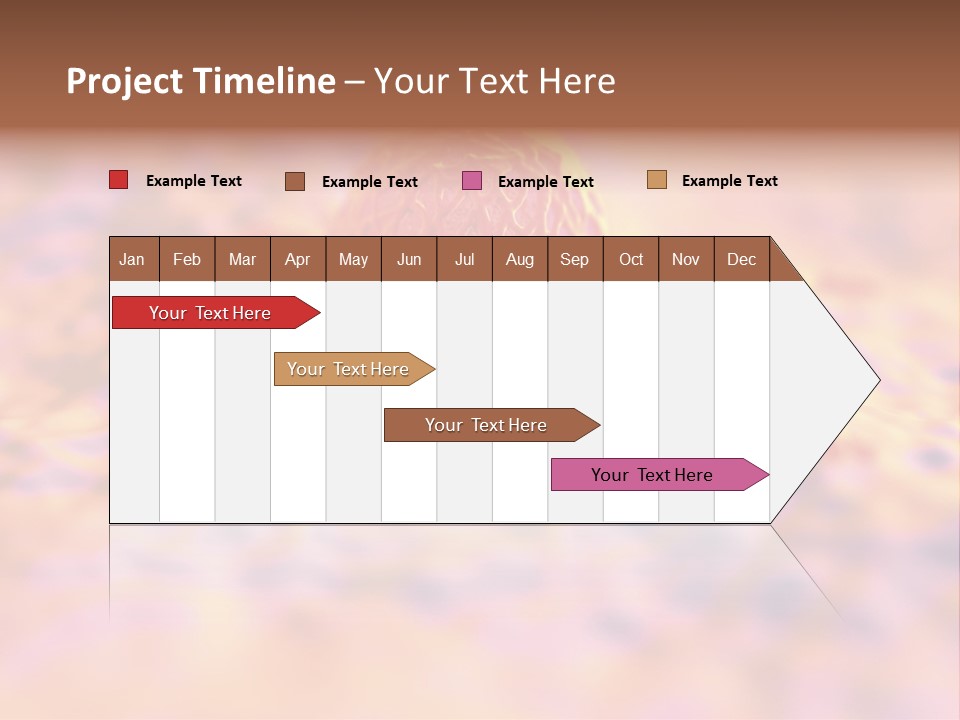 Colon Anatomical Gynaecological PowerPoint Template