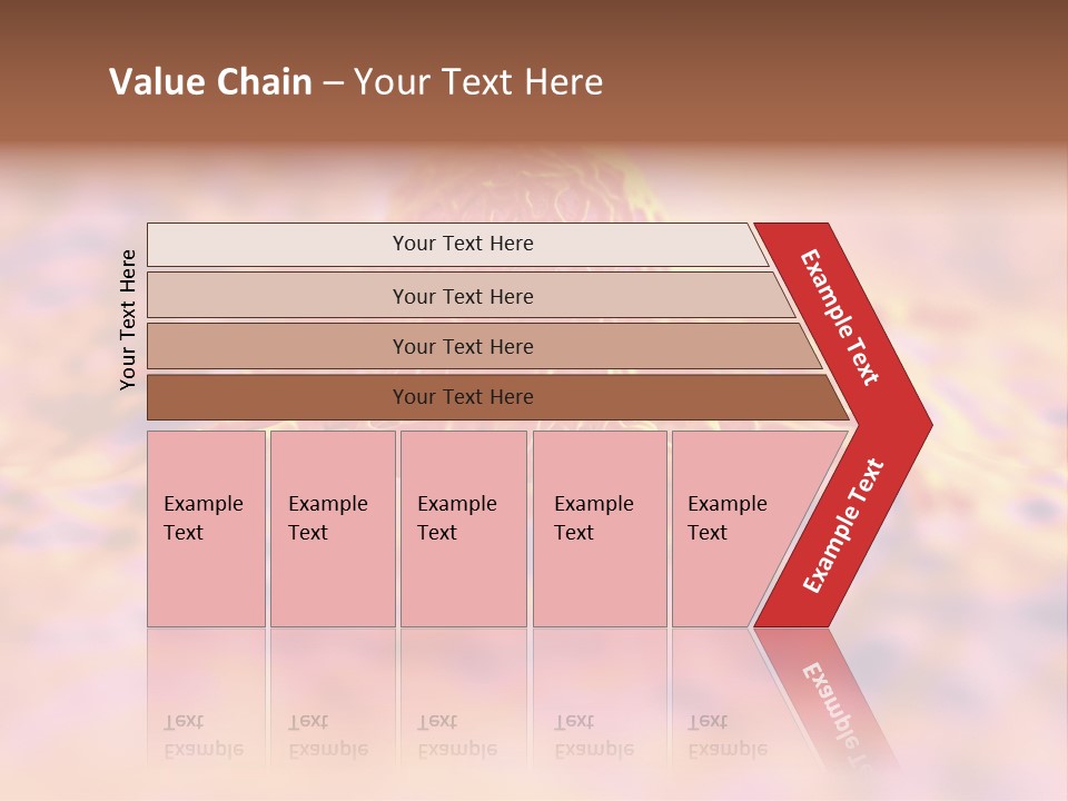 Colon Anatomical Gynaecological PowerPoint Template