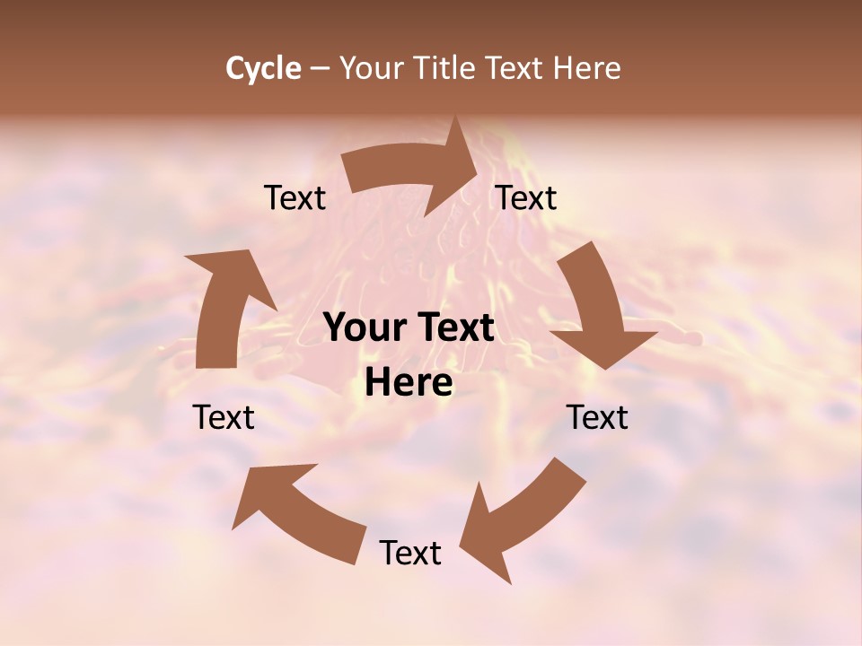 Colon Anatomical Gynaecological PowerPoint Template