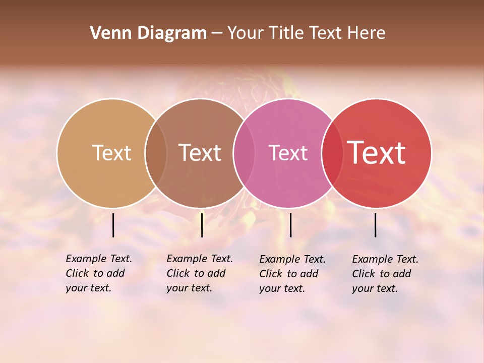 Colon Anatomical Gynaecological PowerPoint Template