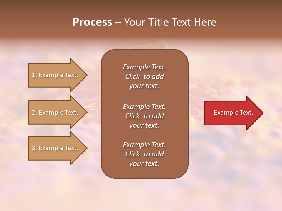 Colon Anatomical Gynaecological PowerPoint Template