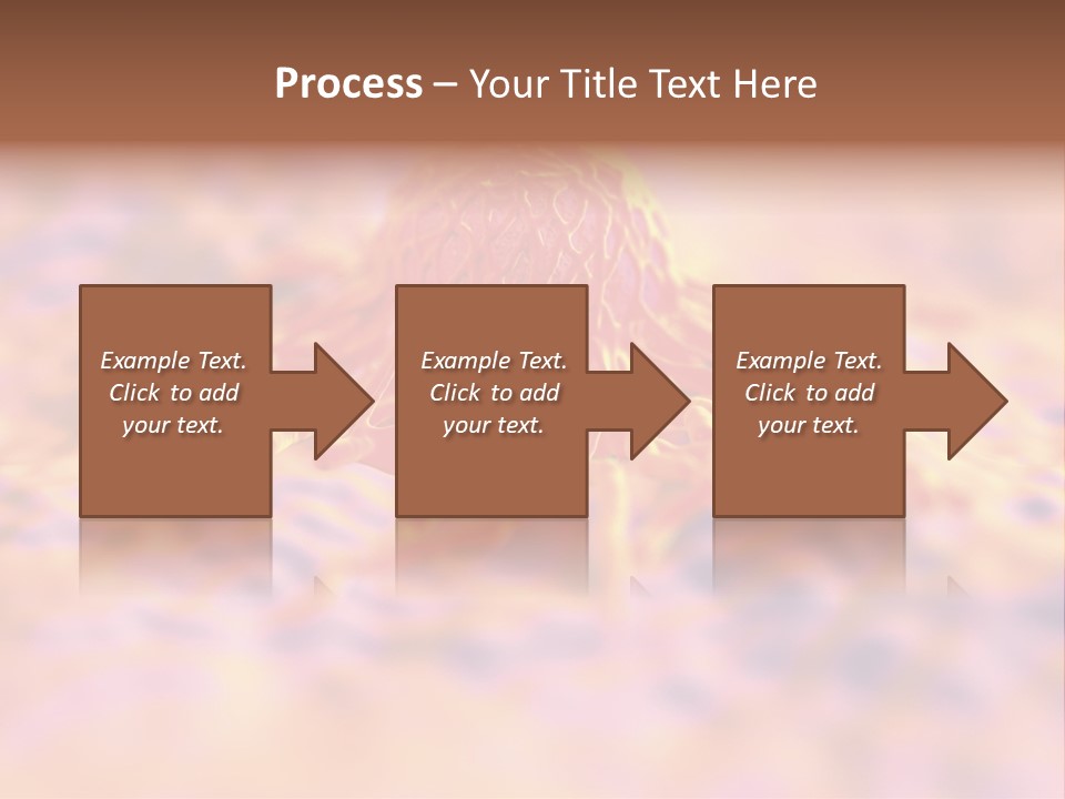 Colon Anatomical Gynaecological PowerPoint Template