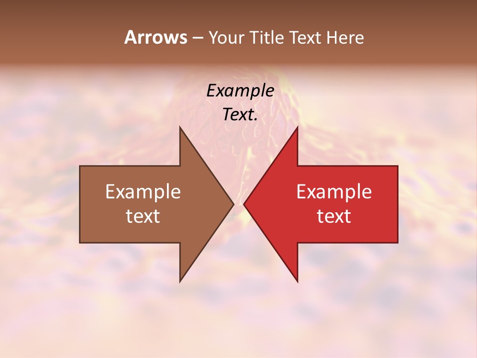 Colon Anatomical Gynaecological PowerPoint Template