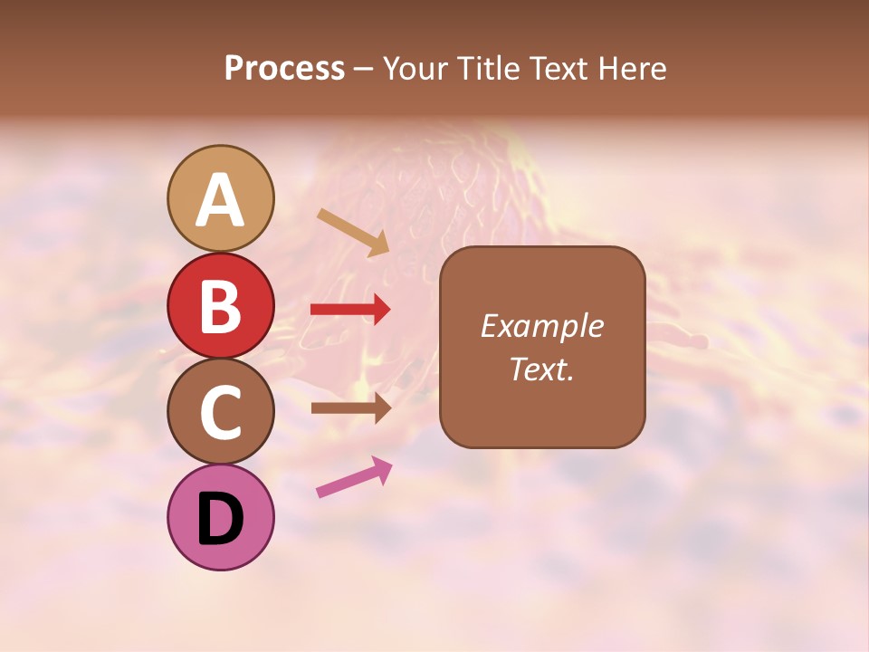 Colon Anatomical Gynaecological PowerPoint Template