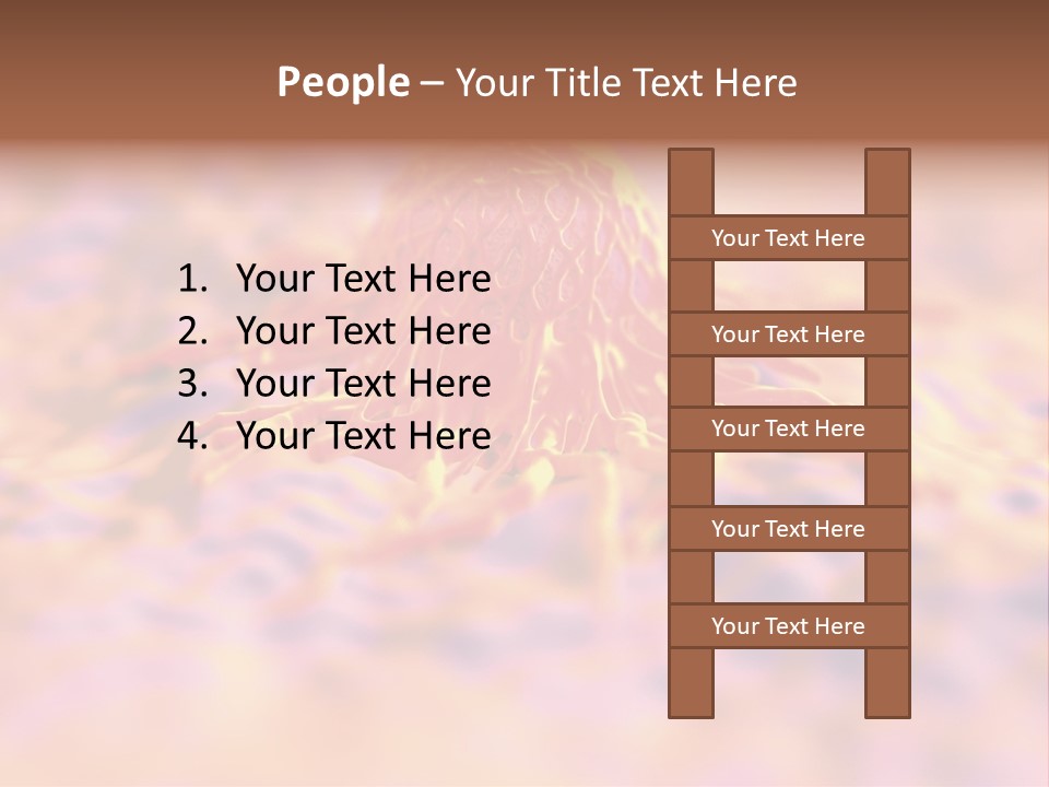 Colon Anatomical Gynaecological PowerPoint Template
