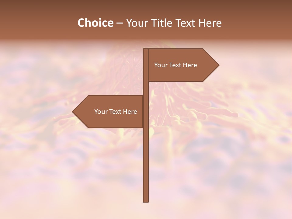 Colon Anatomical Gynaecological PowerPoint Template