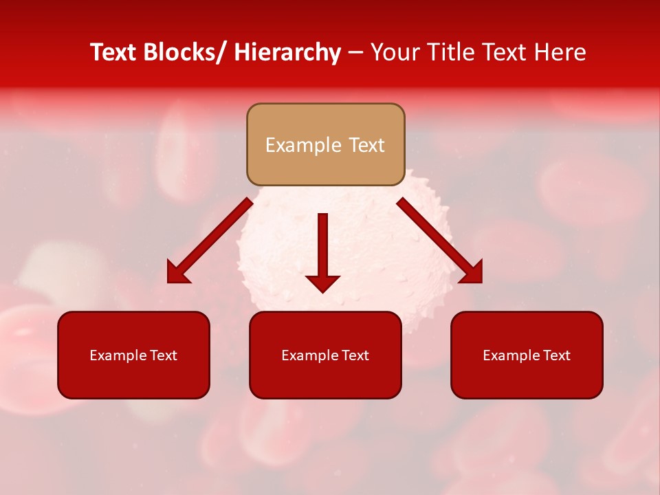 Isolated Vessel Artery PowerPoint Template