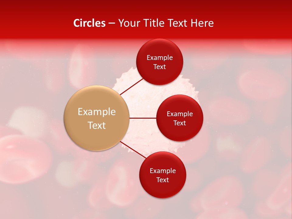 Isolated Vessel Artery PowerPoint Template