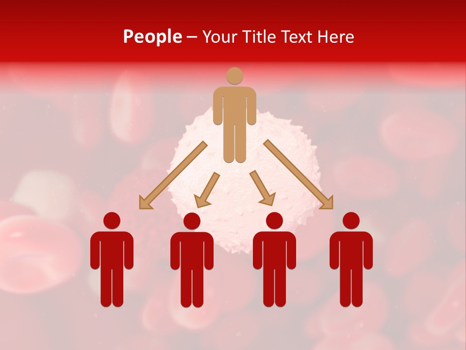 Isolated Vessel Artery PowerPoint Template