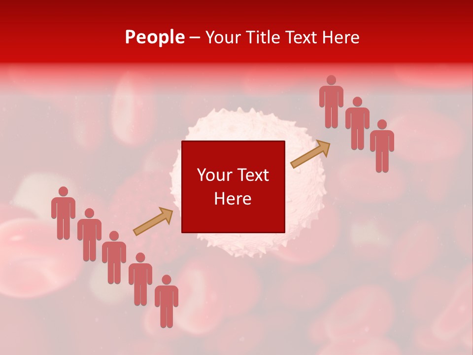 Isolated Vessel Artery PowerPoint Template