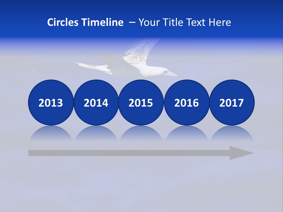 A Seagull Flying Over A Body Of Water PowerPoint Template