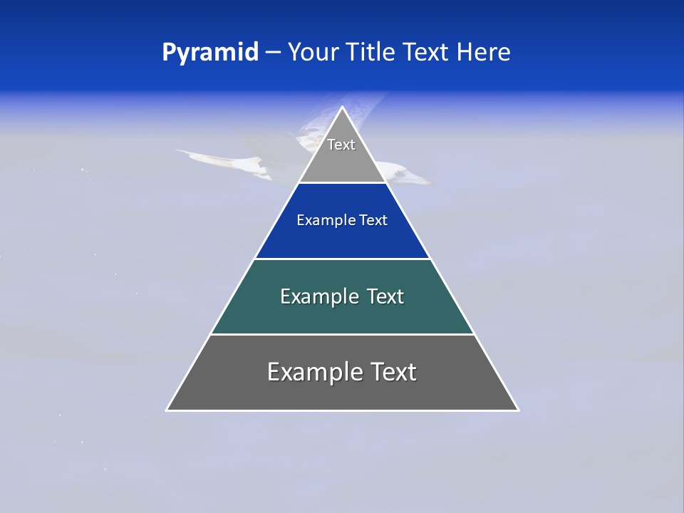 A Seagull Flying Over A Body Of Water PowerPoint Template