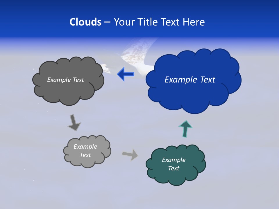 A Seagull Flying Over A Body Of Water PowerPoint Template