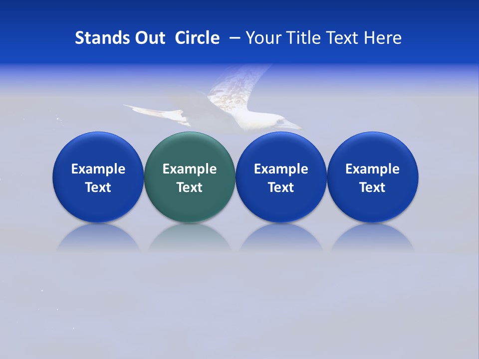 A Seagull Flying Over A Body Of Water PowerPoint Template